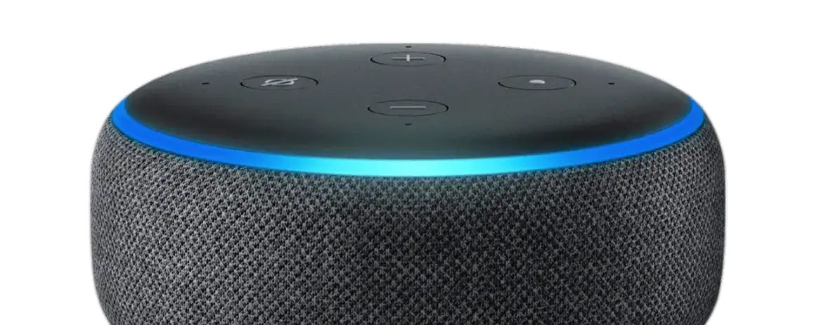 A skill of Alexa with the name of your health franchise